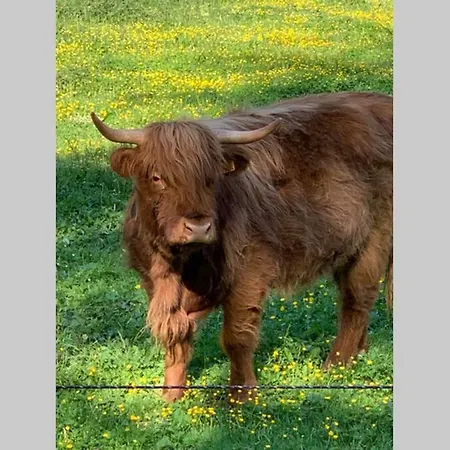 Abbaye Notre-dame Du Vivier - Le Bief Du Vivier *