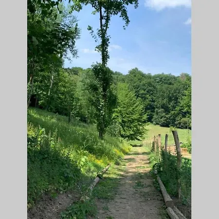 Semesterbostad Abbaye Notre-dame Du Vivier - Le Bief Du Vivier *