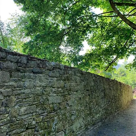Abbaye Notre-dame Du Vivier - Le Bief Du Vivier
