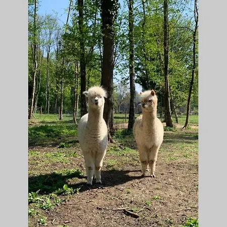Abbaye Notre-dame Du Vivier - Le Bief Du Vivier Semesterbostad *