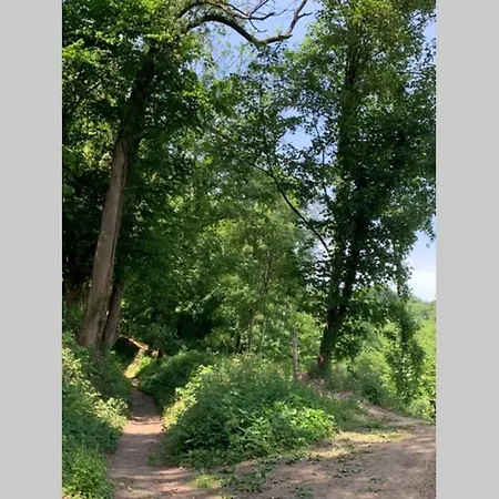 Abbaye Notre-dame Du Vivier - Le Bief Du Vivier *