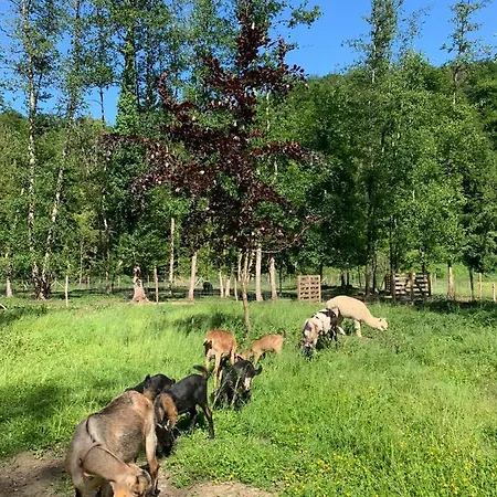 Abbaye Notre-dame Du Vivier - Le Bief Du Vivier Дом отдыха Намюр