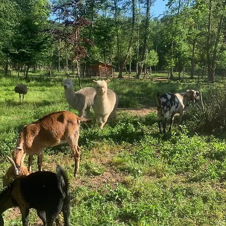 Дом отдыха Abbaye Notre-dame Du Vivier - Le Bief Du Vivier Намюр